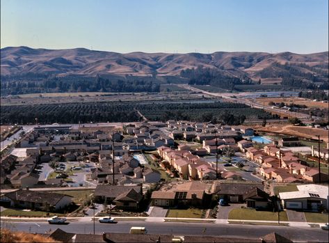 This housing development shown near Esperanza Rd and Fairlynn Blvd. in 1966 shows how Yorba Linda dramatically grew in the 1960s. The city's population increased from 1,198 people in 1960 to 11,856 just a decade later. Yorba Linda California, Ca History, Housing Development, Walk Down Memory Lane, Garden Grove, Orange County California, So Cal, Arabian Horses, Cool Places