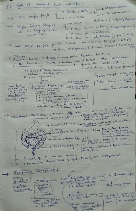 Notes Messy, Messy Notes, Messy Handwriting, Study Core, Colleges For Psychology, I Need Motivation, Basic Anatomy And Physiology, College Motivation, Gut Microbiota