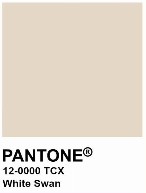 Pantone White, Pantone 2024, Color Season, White Swan, Pantone Color, My Room, Butter Cream, Color Palette, Mood Board