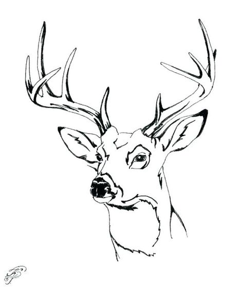 White Tailed Deer Coloring Pages To Print - Free Coloring Sheets Deer Outline, Deer Head Tattoo, Deer Coloring Pages, Deer Head Silhouette, Gold Drawing, Deer Drawing, Family Coloring Pages, Mixed Art, Deer Pictures