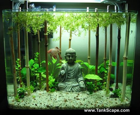 Tank Decoration Ideas, Klein Aquarium, Cool Fish Tank Decorations, Fish Tank Ideas, Fish Aquarium Decorations, Fish Tank Themes, Goldfish Tank, Fish Tank Terrarium, Small Fish Tanks