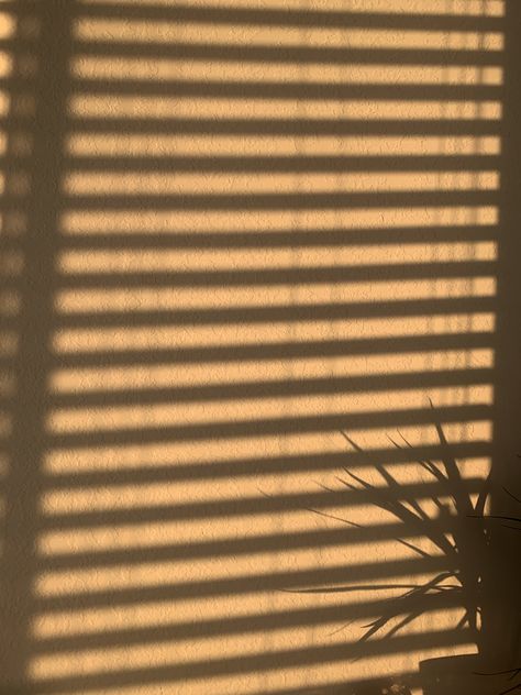 Sunset Window Shadow Aesthetic, Window Shadow Image, Aesthetic Background For Photoshoot, Golden Hour Window Shadow, Sun Shadow Window, Window Sunlight Aesthetic, Window Shadow Photography, Background Photo Studio Aesthetic, Sunset Shadow Aesthetic