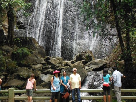 San Juan Canopy Zip Line Excursion - Puerto Rico Cruise Excursions Ziplining Outfit, Forest Outfit, El Yunque Rainforest, El Yunque National Forest, Bucket List Life, Cruise Excursions, Zip Line, Ocean Park, Secluded Beach