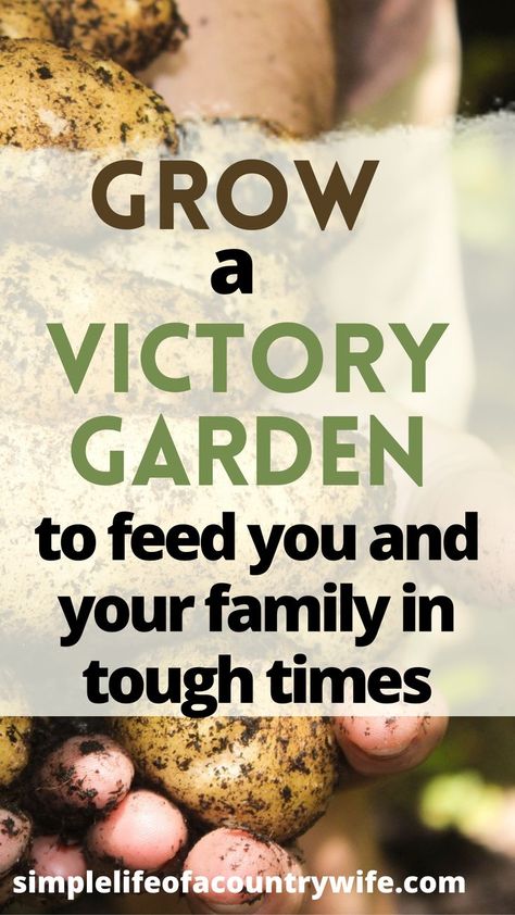 victory garden Victory Garden Layout, Victory Gardens, Grocery Savings, Life On A Budget, Victory Garden, Garden Food, Family Garden, Cheap Eats, Frugal Living Tips