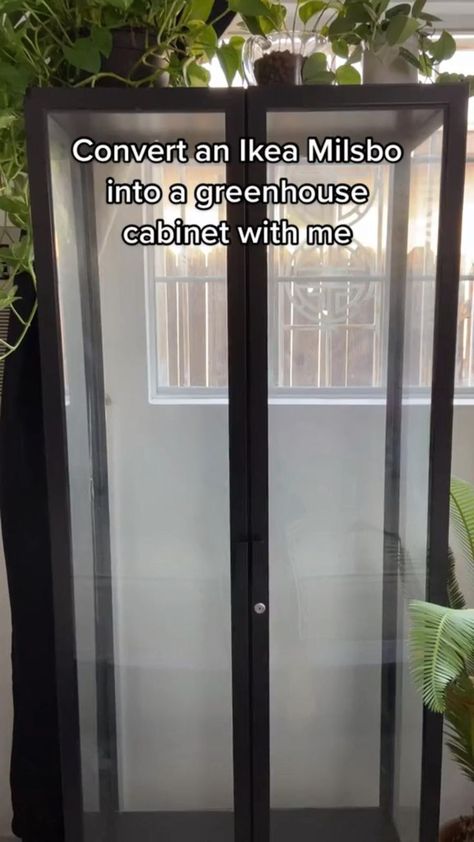 Diy Greenhouse Cheap Easy Indoor, Diy Indoor Green House, Plant Humidity Cabinet, Diy Indoor Greenhouse Cheap, Diy Greenhouse Indoor, Indoor Apartment Garden, Diy Plant Cabinet, Indoor Garden Ideas Apartments, Cat Proof Plant Display