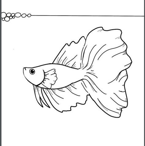 Instant Download Coloring Page - Betta Fish - 4 page PDF Coloring pages #coloringpages Coloring page #coloringpage Adult Coloring pages #adultcoloringpages Coloring pages adult #coloringpagesadult Coloring books #coloringbooks 1.784 Beta Fish Doodle, Betta Fish Drawing Easy, Beta Fish Drawing Simple, Beta Fish Sketch, Betta Fish Illustration, Betta Fish Drawing, Beta Fish Drawing, Under The Sea Coloring Pages, Fish Drawing For Kids