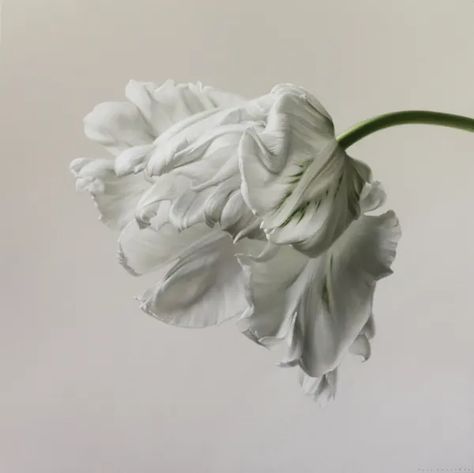 Igor Levashov - Artist | Addison Gallery Watercolor Tulips, Parrot Tulips, Royal Art, Floral Photography, Unique Paintings, Botanical Illustration, White Flower, Flowers Photography, Botanical Art