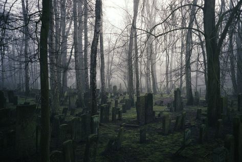 Forest Graveyard, C Moon, Fujicolor C200, Fog Forest, Olympus Mju, Cemetery Statues, Permanent Vacation, 35mm Photography, Film Photography 35mm