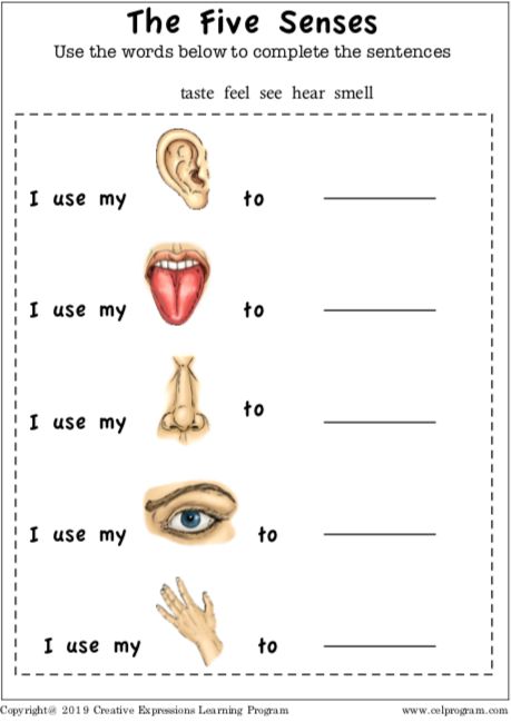 5 Senses Worksheet, Five Senses Worksheet, Our Five Senses, My Five Senses, Worksheets For Class 1, Holiday Homework, The Five Senses, Month Of August, 5 Senses