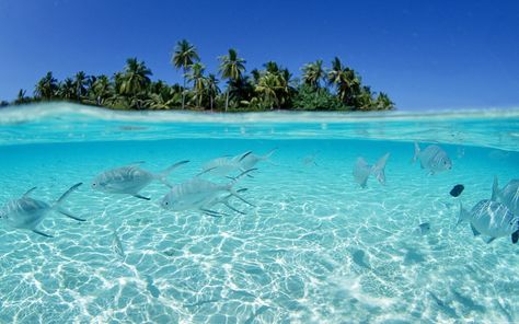 Water Download Underwater Backgrounds. Beach Scene Wallpaper, Wallpaper Pantai, Strand Wallpaper, Isla Margarita, Island Wallpaper, Scene Wallpaper, Beautiful Beach Pictures, Robinson Crusoe, Beach Background