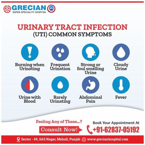 ��✓ Burning when Urinating ✓ Frequent Urination ✓ Strong or foul-smelling Urine ✓ Cloudy Urine ✓ Urine with Blood ✓ Rarely Urinating ✓ Abdominal Pain ✓ Fever Feeling Any of These? Make an Appointment, Call +91 62837 05192 #Grecian #GrecianMohali #GrecianHospital #UTI #UrinaryTractInfection #FrequentUrination #Fever #AbdominalPain #CloudyUrine #FrequentUrination #BurningUrinating Cloudy Urine, Frequent Urination, Make An Appointment, Urinary Tract, Abdominal Pain, Feelings, Quick Saves