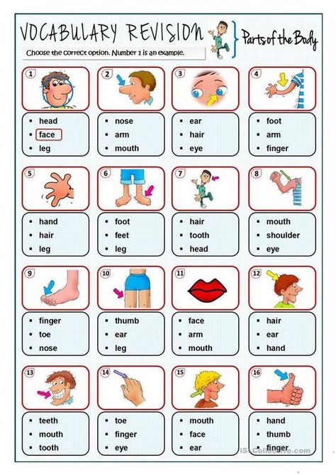 This is a fun worksheet to repeat vocabulary related to parts of the body. Learn English Kid, Body Parts For Kids, English Worksheets For Kindergarten, Grammar For Kids, English Teaching Materials, English Activities For Kids, English Exercises, Teaching English Online, English Phonics