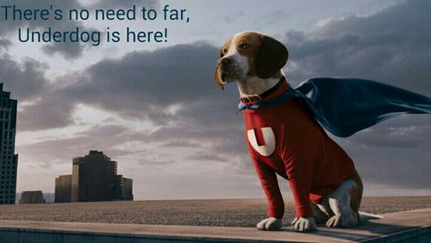 Underdog the movie Underdog Movie, Movie Art, Dreamworks, The Movie, Animal Art, Rocky, Art Inspo, Cute Animals, Photo And Video