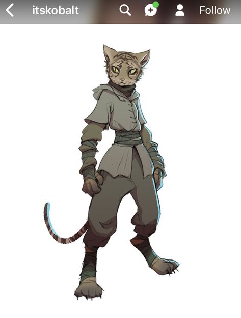 Cat Character, Dungeons And Dragons Characters, Dnd Art, Mythical Creatures Art, Character Design Animation, Dnd Characters, A Cartoon, Creature Design, Character Portraits