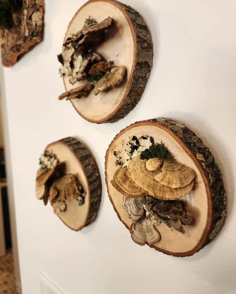 Would you like these hanging on your wall? Bring a touch of woodsy whimsy into your space! These are available on my Esty store now! #walldecor #woodsy #mushrooms #whimsical Moss Mushroom, Mushroom Wall Art, Woodsy Decor, Mushroom Decor, Gothic Home, Gothic House, Rustic Wall Decor, Wood Slices, Plant Life