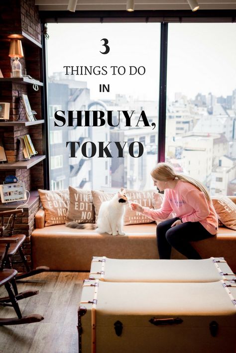 Top things not to miss in Shibuya, Tokyo! Cat Cafe Mocha, Genki Sushi, etc. Themed Cafes In Tokyo, Tokyo Coffee Shop, Hedgehog Cafe Tokyo, Sailor Moon Doll, Cat Inspiration, Shibuya 109 Stores, Japan Cat, Cafe Mocha, Cat Cafe Tokyo