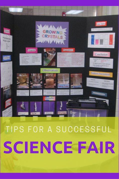 Create a memorable and well organized science fair. Great Tips to make the event a success. Growing Crystals Science Fair Project, Crystal Growing Science Fair Project, Crystal Science Fair Project, Science Fair Topics, Middle School Science Fair Projects, Science Project Board, Classroom Science Experiments, Elementary Science Fair Projects, Science Fair Board