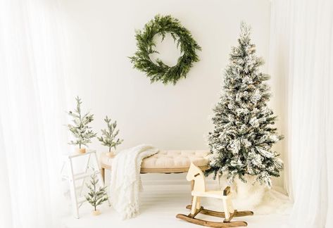 Modern Studio Christmas Photos, Winter Holiday Photoshoot, Minimalist Holiday Photoshoot, Cowboy Christmas Mini Session, Clean Christmas Photoshoot, Minimalist Christmas Photography, Christmas Mini Session Indoor Setup, Holiday Mini Session Outdoor, Simple Christmas Minis Indoor