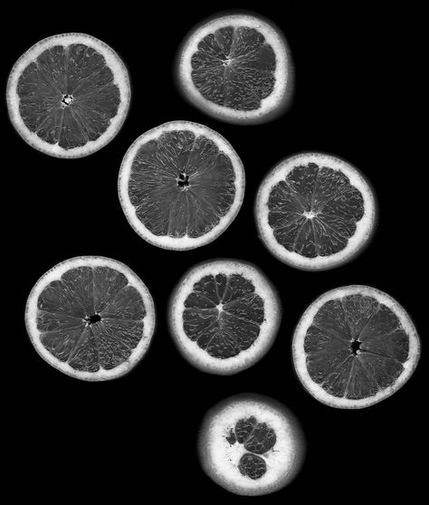 Lemon Photogram Photography Degree, Dark Room Photography, A Level Photography, Growth And Decay, A Level Art Sketchbook, Alternative Photography, Photo Class, Texture Photography, Still Life Photos