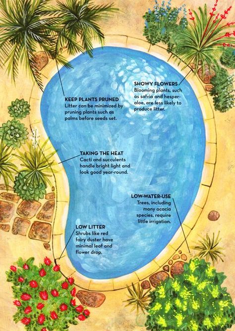 Landscaping Around Pool, Pool Plants, Inground Pool Landscaping, Landscaping Around House, Swimming Pool Landscaping, Diy Swimming Pool, Pool Landscape Design, Swimming Pools Inground, Backyard Pool Landscaping