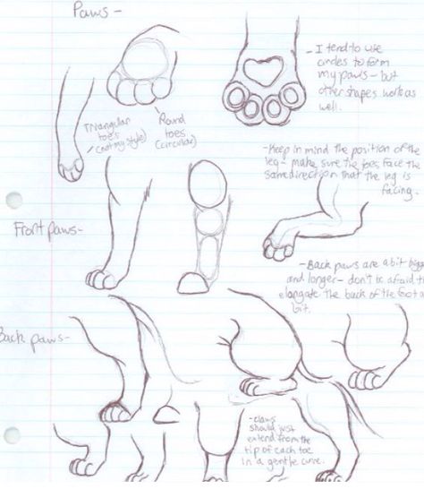 Cat limbs and paws Draw Cats, Paw Drawing, Draw A Cat, Draw Tutorial, Cat Drawing Tutorial, Grant Wood, Drawing Eyes, Horse Illustration, Cat Sketch