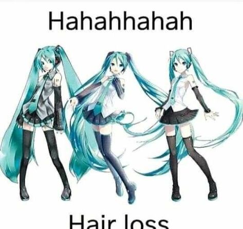 Miku Hatsune Vocaloid, Vocaloid Funny, Vocaloid Characters, Memes Lol, Packing To Move, Silly Pictures, Best Model, Really Funny Pictures, What’s Going On