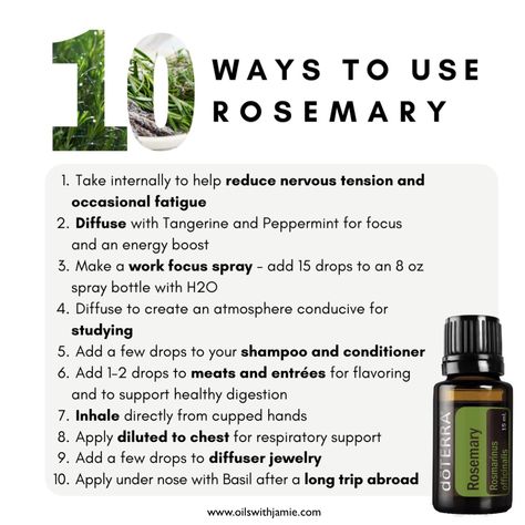 How To Use Rosemary Essential Oil, Uses For Rosemary Essential Oil, Rosemary Essential Oil For Hair Growth, Rosemary Oil Uses, Rosemary Essential Oil Uses, Rosemary Essential Oil Benefits, Rosemary Oil Benefits, Benefits Of Rosemary Essential Oil, Rosemary Essential Oil For Hair