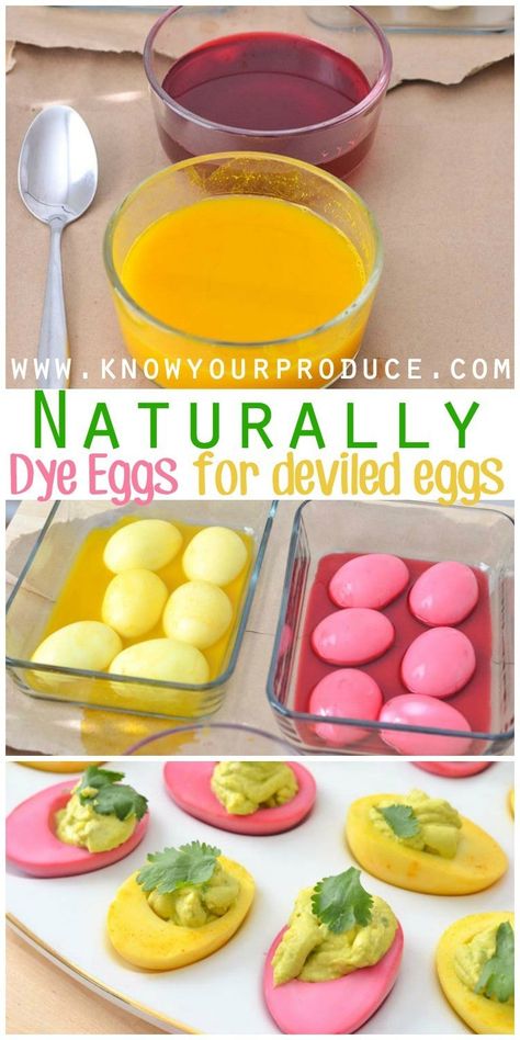 How to Naturally Dye Eggs for deviled eggs recipe best kid friendly healthy snack - Easter Holiday Recipe naturally dyed easter eggs Deviled Eggs Recipe Best, Dyed Deviled Eggs, Colored Deviled Eggs, Natural Egg Dye, Easter Deviled Eggs, Dye Eggs, Dyed Easter Eggs, Gluten Free Easter, Naturally Dyed Easter Eggs