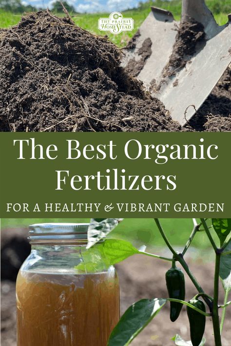 The Best Organic Fertilizers for Your Vegetable Garden • The Prairie Homestead Vegetable Garden Fertilizer, Garden Fertilizer, Natural Fertilizer, Meteor Garden 2018, Magic Garden, Fertilizer For Plants, Garden Route, Soil Health, Organic Gardening Tips