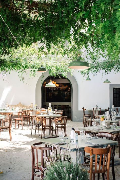 Outdoor restaurant design with hanging trees and a tropical feel. El Portalon, Dalt Vila, Ibiza Most Beautiful Restaurants, Beautiful Restaurants, Restaurant Design Inspiration, Casa Cook, Restaurant Bathroom, Lake House Interior, Outdoor Restaurant Design, Restaurant Patio, Modern Cafe