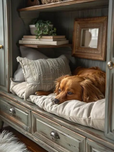 Dog Couches Furniture, Dog Bed Under Bench, Dog Bed Mudroom, Dog Bed Under Bookshelf, Double Decker Dog Bed Diy, Dog Bed For End Of Bed, Dresser Dog Bed, Dogs In Bedroom, Dog Bed Area In Bedroom