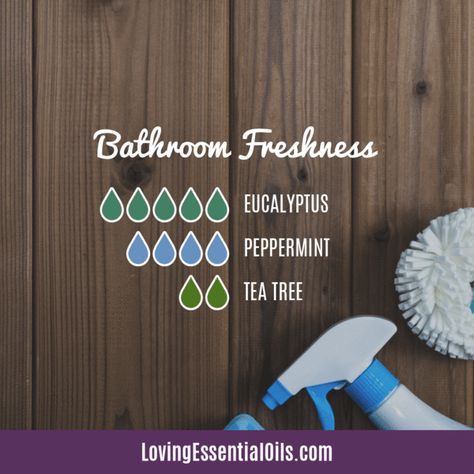 Top 10 Essential Oils for the Bathroom with Recipes! Bathroom Freshness Diffuser Blend by Loving Essential Oils | Eucalyptus, Peppermint & Tea Tree Oil Essential Oil Combinations, Essential Oil Diffuser Blends Recipes, Young Living Essential Oils Recipes, Essential Oil Diffuser Recipes, Oil Diffuser Recipes, Essential Oil Mixes, Essential Oil Blends Recipes, Diffuser Blend, Diffuser Recipes