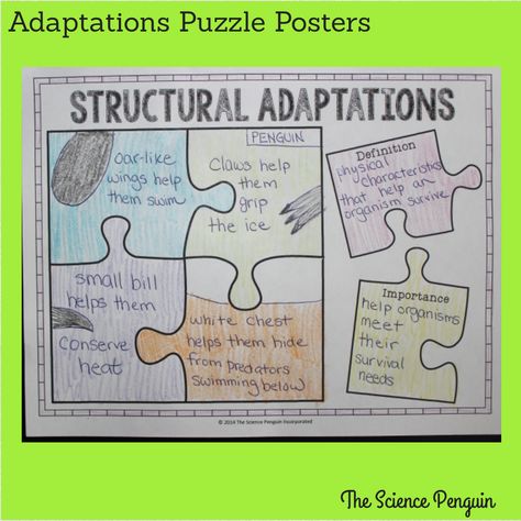 Structural Adaptations Poster Science Vocabulary Activities, Structural Adaptations, Plant Adaptations, The Science Penguin, Science Penguin, Science Anchor Charts, Science Textbook, Science Vocabulary, Animal Adaptations