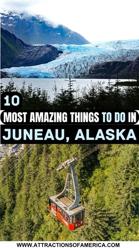 10 most amazing things to do in Juneau, Alaska with image of Mendenhall Glacier, Mount Roberts Tramway. Alaska Juneau, Alaska Travel Guide, Tongass National Forest, Museum Hotel, Juneau Alaska, Us Road Trip, City Museum, Colorado Hiking, Denali National Park