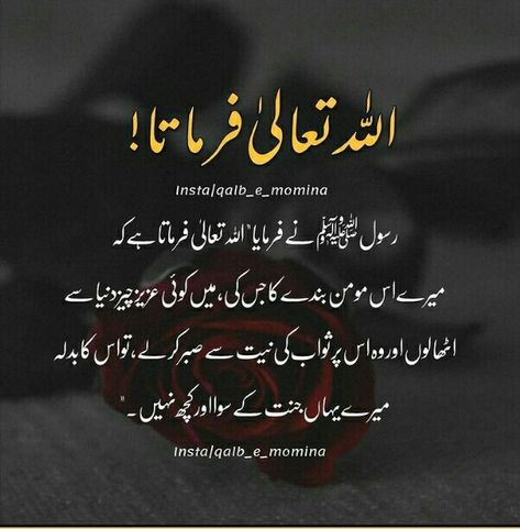 Islamic Facts In Urdu, Islamic Messages In Urdu, Gaus Pak Quotes, Hadees Quotes Islam In Urdu, Jumma Mubarak In Urdu, Hadees Quotes Islam, Jumma Mubarak Shayari, Assalamu Alaikum Jumma Mubarak, Alvida Jumma