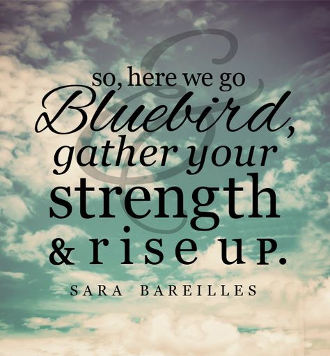 So, here we go bluebird, gather your strength and rise up. Bird Quotes, Sara Bareilles, Truth Hurts, Wonderful Words, Blue Jay, Happy Thoughts, Bluebird, Lyric Quotes, Music Quotes