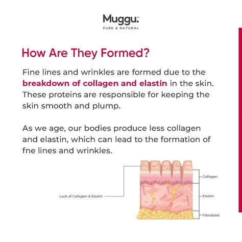 Are you also tired of fine lines & wrinkles?😥 Here's all you need to know about these unwanted guests on your face! How are they formed? The causes. The remedies. Recommended products and more. In case you have any other queries related to fine lines/wrinkles or any other skin concern, don't hesitate to reach out to us. Drop us your concerns and we will help you.❤️📩 . . . #mugguskincare #finelines #wrinkles #antiaging #antiagingskincare #info #skinconcern #aging #retinol Skin Concern, Anti Aging Skin Care, Retinol, Wrinkles, Need To Know, Skin, Quick Saves