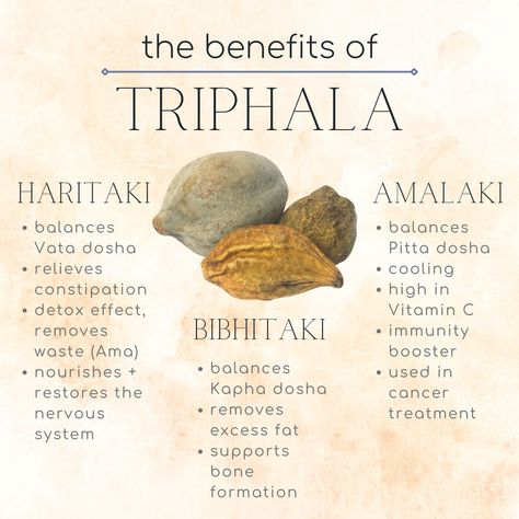 INGREDIENTS: The Benefits of Triphala Triphala Benefits, Ayurveda Dosha, Pitta Dosha, Ayurvedic Therapy, Vata Dosha, Ayurveda Life, Ayurvedic Practitioner, Parasite Cleanse, Digestive Juice