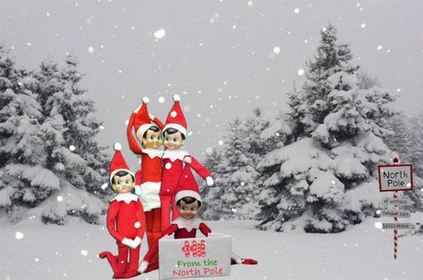 Elf on the Shelf Idea- Photo with Friends from the North Pole {Download} | Dirty Diaper Laundry North Pole Pictures, Photo With Friends, Christmas Preparation, Idea Photo, The North Pole, Shelf Ideas, Christmas Activities, North Pole, On The Shelf