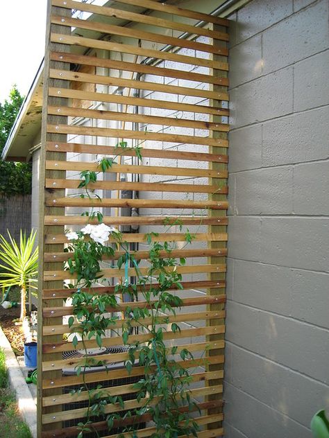 trellis start | wes designed this trellis which will be in o… | Flickr Simple Trellis, Taman Diy, Diy Garden Trellis, Jardim Diy, Diy Trellis, Plants Growing, Backyard Pergola, Pergola Plans, Paver Patio