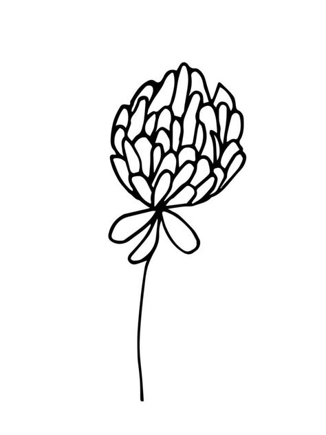 Simple hand drawn black outline vector illustration. Field clover flower, nature. Sketch in ink. Clover Drawing Simple, Flower Illustration Simple, Clover Drawing, Sketch Nature, Nature Sketch, Clover Flower, Flower Nature, Journaling Ideas, Infographic Design