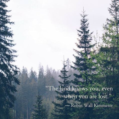 Forest Quotes, Environmental Activism, Nature Exploration, Western Quotes, Tree Quotes, Hiking Quotes, Notable Quotes, Garden Quotes, Words Worth