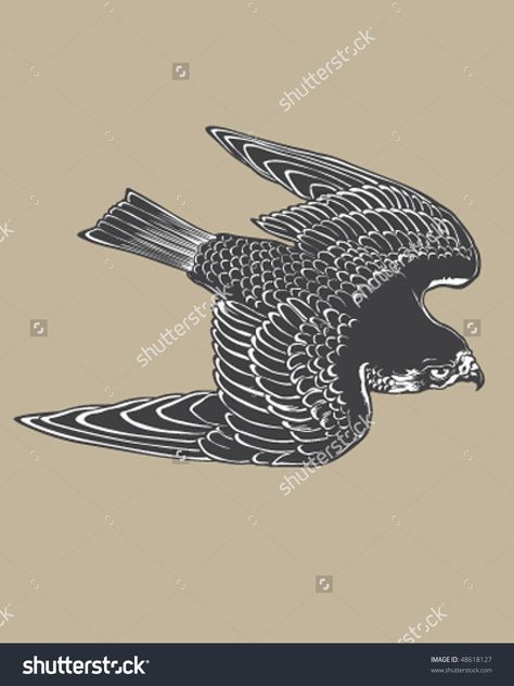 Peregrine Falcon Tattoo Traditional, Peregrine Falcon Drawing, Falcon Tattoo Design, Falcon Drawing, Falcon Tattoo, Ukrainian Tattoo, Hawk Tattoo, Simple Tattoos For Guys, Tatoo Inspiration