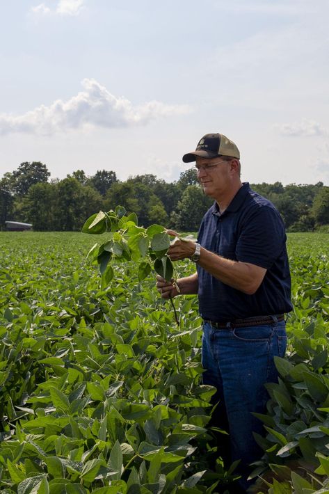 When to foliar spray, does the time of day matter | Crop | agupdate.com Foliar Spray, Veggie Tales, Time Of Day, The Other Side, Farmer, Matter, Spray, Track, How To Apply