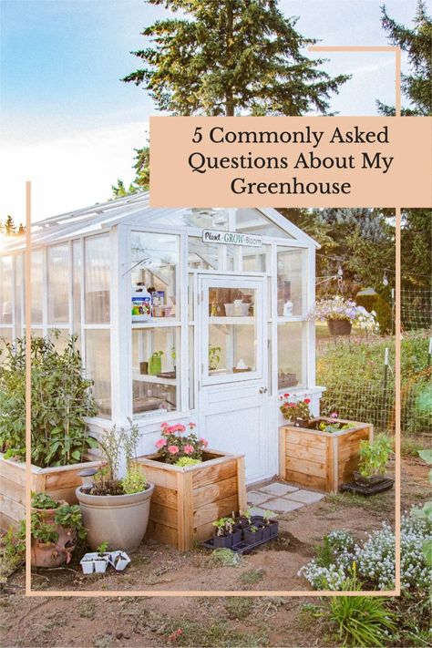 Greenhouse In Vegetable Garden, Greenhouse In Garden Design, Greenhouse Backyard Design, How To Build A Small Greenhouse, Greenhouse Garden Layout, Small Yard Greenhouse, Small Garden Greenhouse Ideas, Greenhouse Decorating Ideas Exterior, Green House In Garden