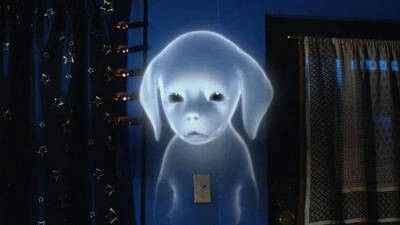 Aaah a Beagle ghost - Disney Spooky Buddies Spooky Buddies, Family Films, Disney Live Action, Friendly Ghost, Live Action, Ghost, Cute Animals, Batman, Puppies