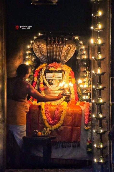 Rameshwaram Temple Shivling, Shivji Temple, Rameshwaram Shivling, Shiv Linga Lord Shiva, Rameshwaram Temple, Cosmic God, Shivratri Wallpaper, Ramanathaswamy Temple, Lord Shiva Mantra