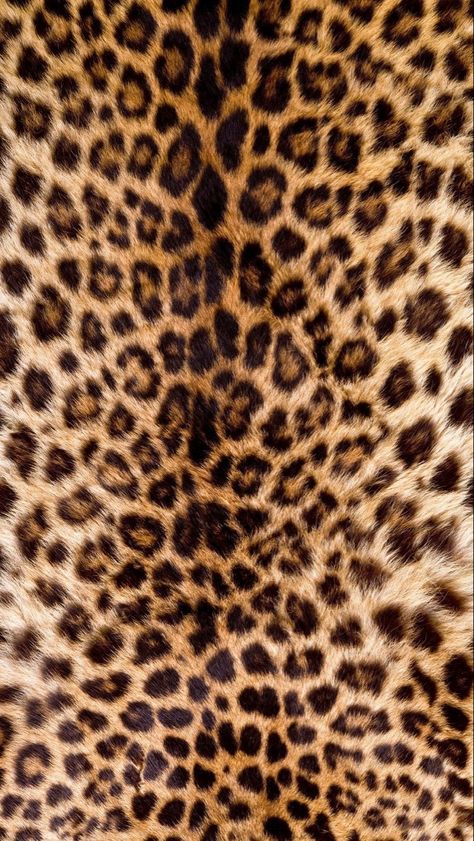 Chic Things, Leopard Print Background, Leopard Print Wallpaper, Cheetah Print Wallpaper, Drømme Liv, Lauryn Hill, Wallpaper Ipad, Tapeta Pro Iphone, Iphone Prints