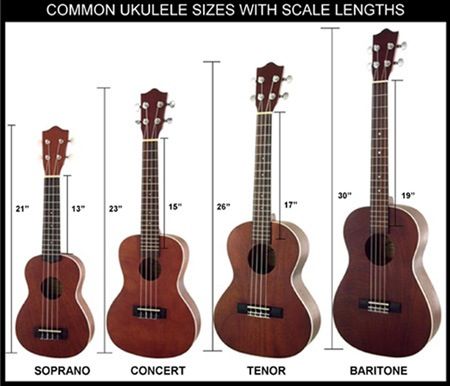 Ukulele sizes... I'm thinking concert. Ukulele Sizes, Ukelele Chords Ukulele Songs, Kala Ukulele, Ukulele Design, Learning Ukulele, Ukulele Art, Ukulele Music, Ukulele Lesson, Tenor Ukulele