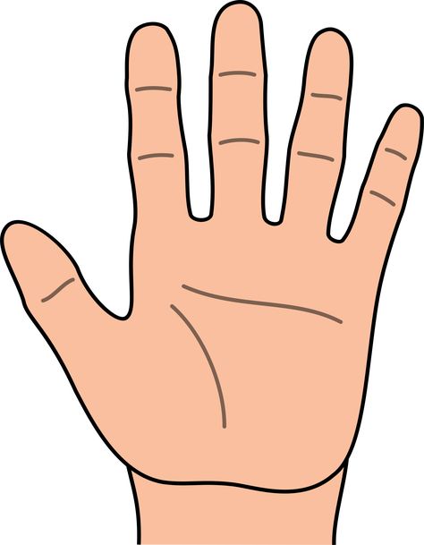 Hands hand clip art free clipart images Ferb And Vanessa, Finger Cartoon, Hand Outline, Senses Preschool, Teaching Mindfulness, Free Hand Designs, Hand Clipart, Clip Art Library, Fun Classroom Activities